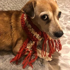 Dog or Cat scarf Size M 2-1/2” x 22”